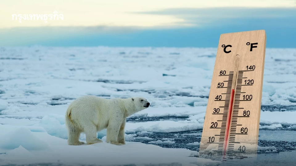 ‘หมีขั้วโลก’ เปลี่ยน ‘DNA’ ตัวเอง ปรับตัวให้อยู่รอดในโลกที่ร้อนขึ้น