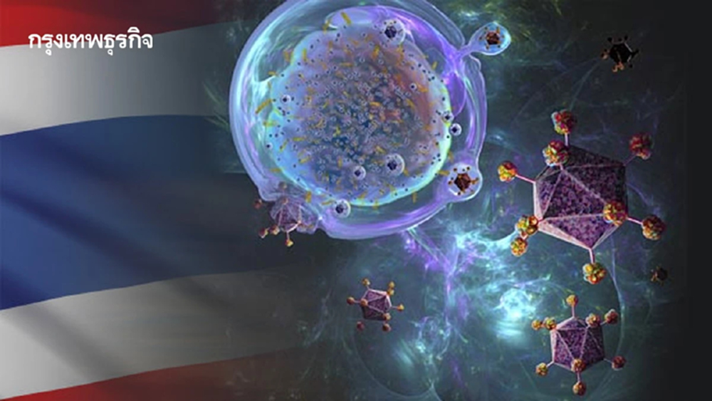 CAR-T Cell ‘Made in Thailand’ รักษามะเร็ง  ลดมูลค่านำเข้าได้ 10 เท่า