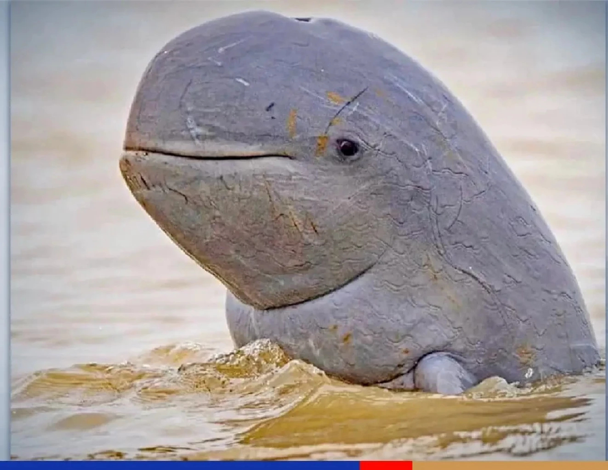 ‘เวิลด์แบงก์’อนุมัติ 140 ล้านดอลลาร์  โปรเจกต์คมนาคมพิทักษ์ชีวภาพหลากหลายไทย