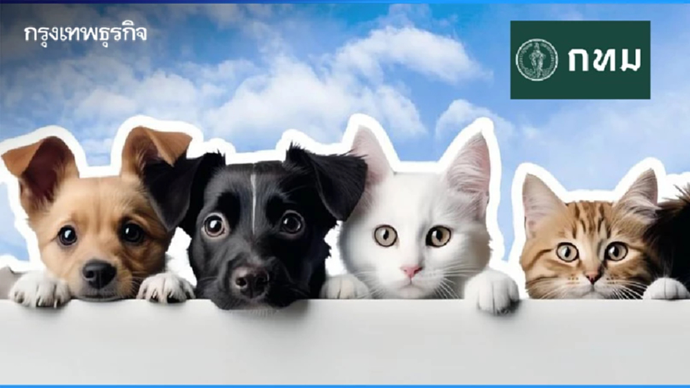 รวมทุกข้อสงสัย 'กฎหมายควบคุมฯ' สัตว์เลี้ยง กทม. 'รีบฝังชิป-จดแจ้ง' มีผล 10 ม.ค. 69