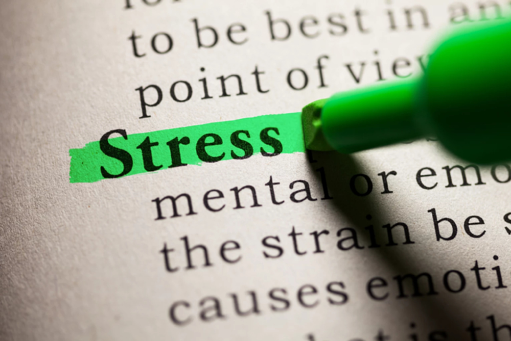 อยู่กับความเครียด | เส้นทางแห่งผู้นำ