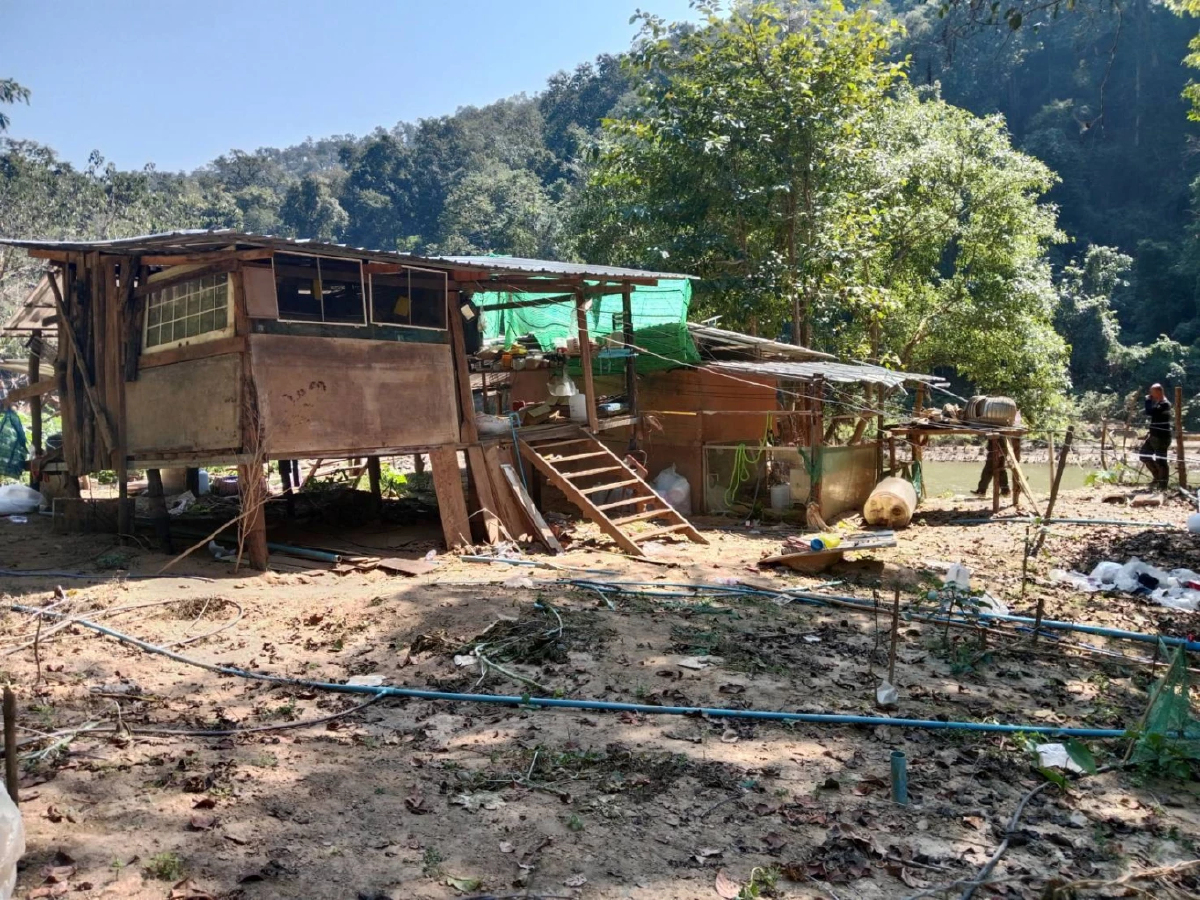 กรมป่าไม้ลุยตรวจสอบ พบรุกป่าอนุรักษ์ ลุ่มน้ำยวม เร่งเอาผิดทันที