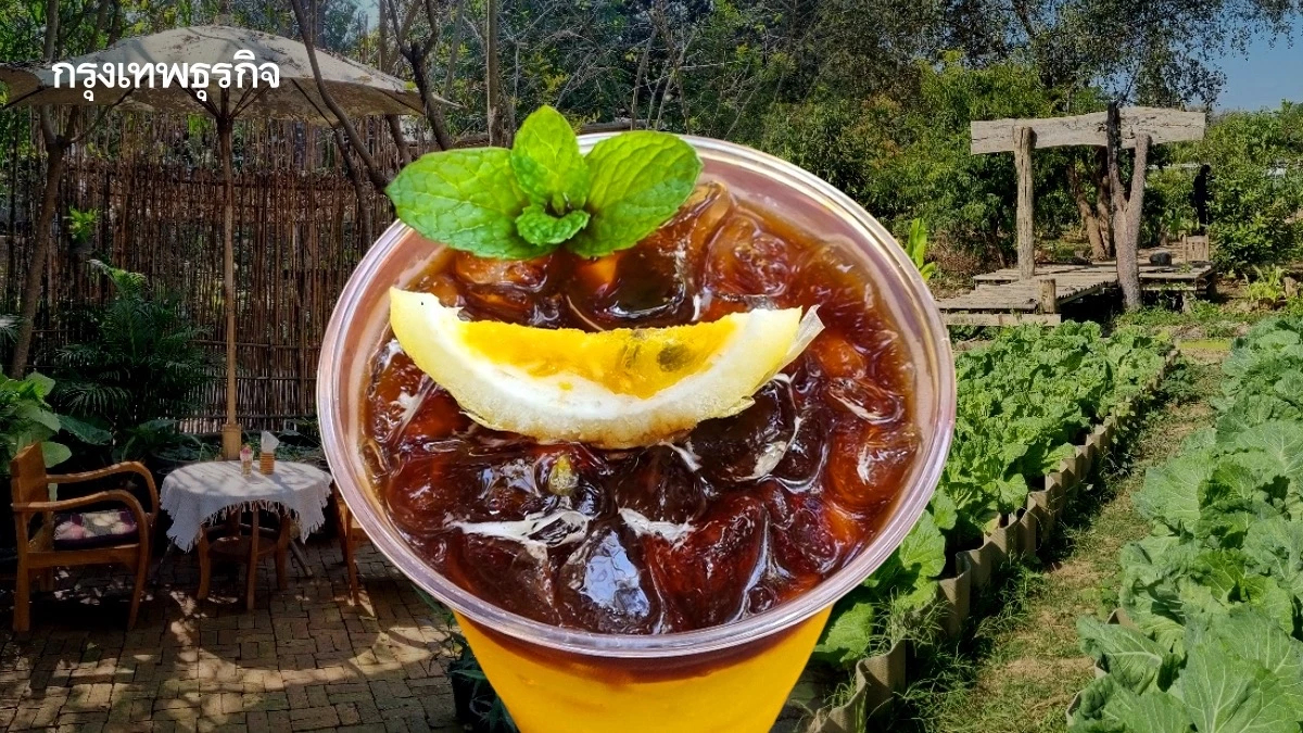 ‘พิกุล’คาเฟ่และสวนผักของคนรักสุขภาพ อ.เสริมงาม จ.ลำปาง