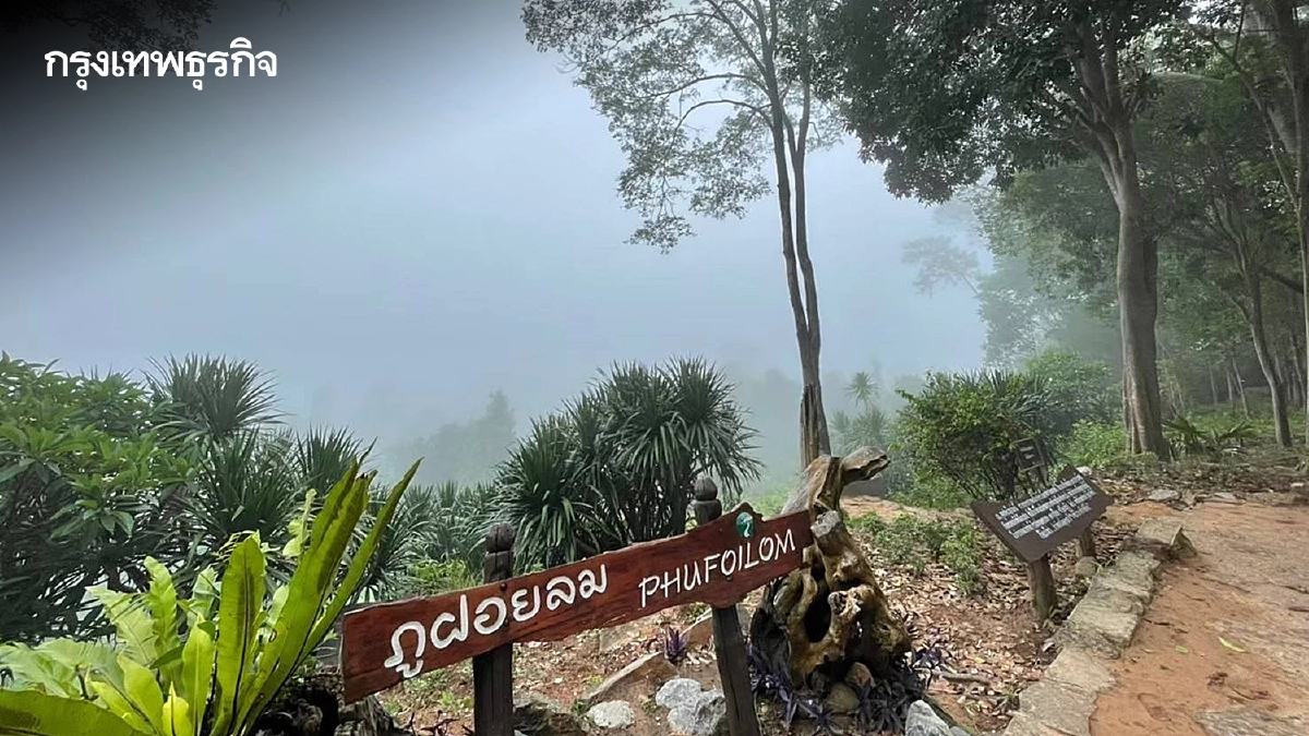 ประกาศปิด 'สวนพฤกษศาสตร์ภูฝอยลม' 4 เดือน ฟื้นฟูธรรมชาติ-เฝ้าระวังไฟป่า