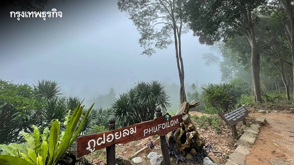 ประกาศปิด 'สวนพฤกษศาสตร์ภูฝอยลม' 4 เดือน ฟื้นฟูธรรมชาติ-เฝ้าระวังไฟป่า