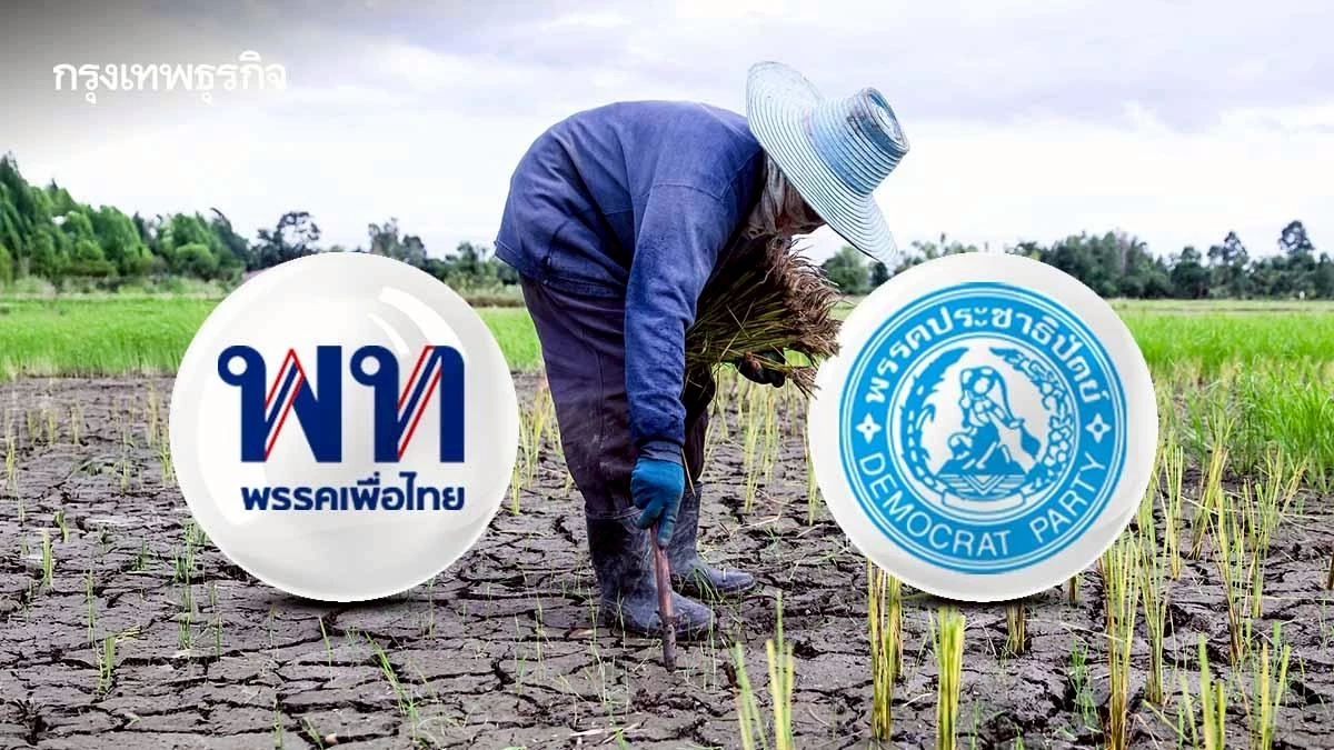 เทียบนโนบายเกษตร ‘เพื่อไทย – ประชาธิปัตย์’  ประกันกำไร 30% VS ประกันรายได้ฉบับปรับปรุง