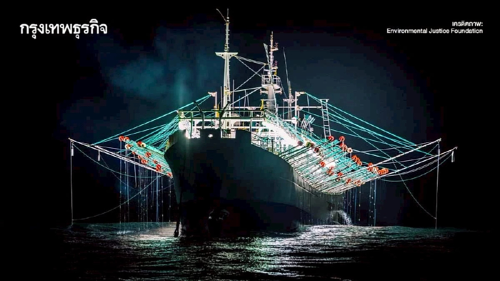 ‘กองเรือประมงจีน’ บุกน่านน้ำสากล จับปลาหมึกจนหมด ห่วงโซ่อาหารล่มสลาย กฎหมายเอาผิดไม่ได้