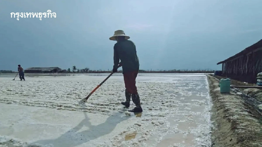 เกษตรฯเร่งแก้ปัญหาเกลือไทย ขึ้นทะเบียน ปล่อยสินเชื่อ