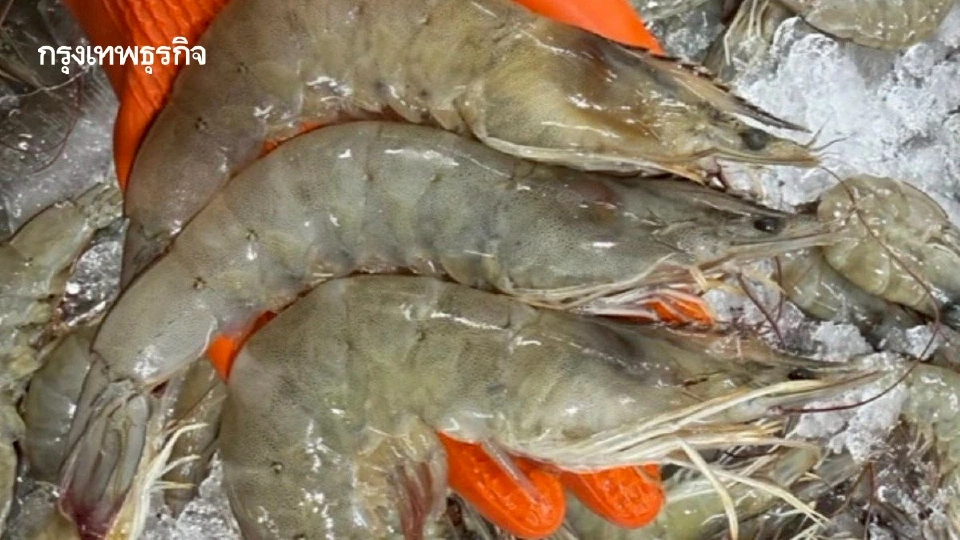 Next Step คนเลี้ยงกุ้ง ปรับตัวสู่อนาคต เติบโตอย่างยั่งยืน