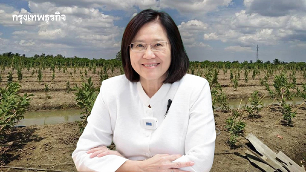 เกษตรฯ เคาะแผนเพาะปลูกฤดูแล้ง ปี69 คุมนาปรัง ลุ่มเจ้าพระยา 8.59  ล้านไร่