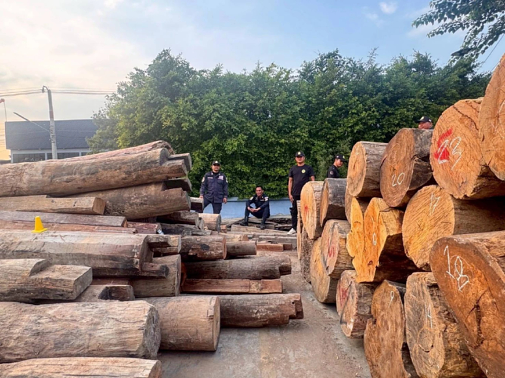 ทส.ตรวจสอบโรงงานไม้แปรรูปเมืองแปดริ้ว พบไม้ผิดกฎหมาย 600 ลบ.ม. มูลค่า 30 ล้าน