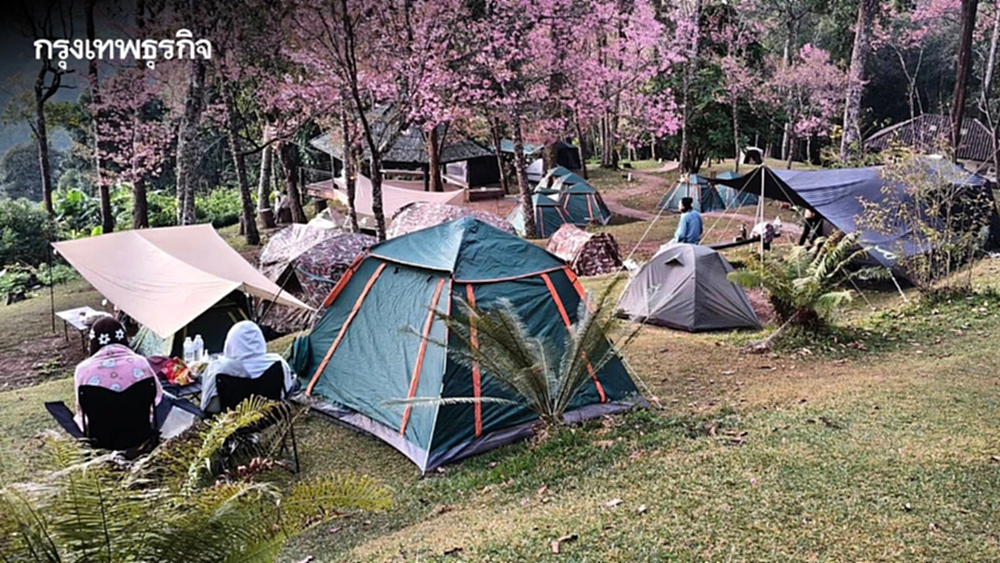 วันหยุด ปีใหม่​ 2569 แห่เที่ยวอุทยานฯ คึกคัก 2 วัน​ ทะลุ 5 แสนคน 'เขาใหญ่' อันดับ 1