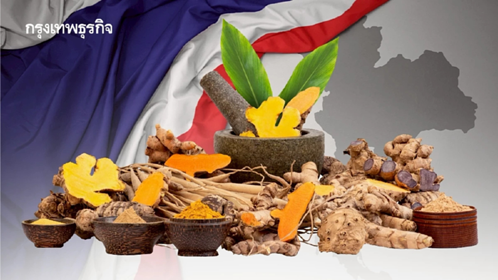 ปี 69 ดัน  'ขมิ้นชัน-ไพล-กระชายดำ' สู่พรีเมียมโปรดักต์ บุกตลาดโลก