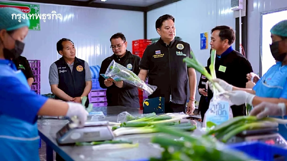 กรมวิชาการเกษตร ขยายการรับรอง สินค้าเกษตรปลอดภัย ผักอินทรีย์บนพื้นที่สูง