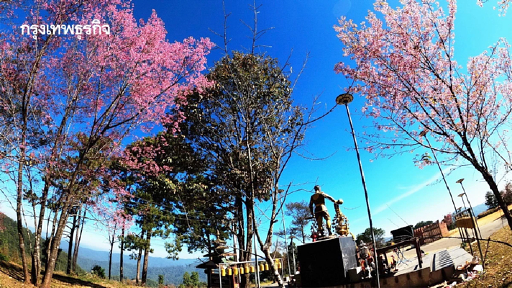 เลาวู....ประตูสู่เวียงแหง