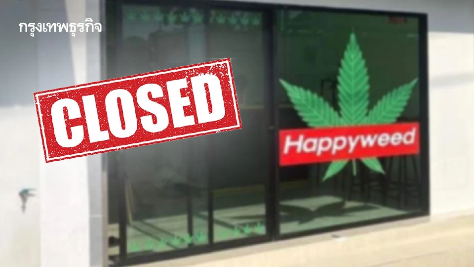ปี 68 'ร้านกัญชา' ปิดตัวกว่า 7,000 แห่ง เปิดใหม่จำกัดแค่ 4 ประเภท ย้ำผู้ป่วยไม่ขาดยา