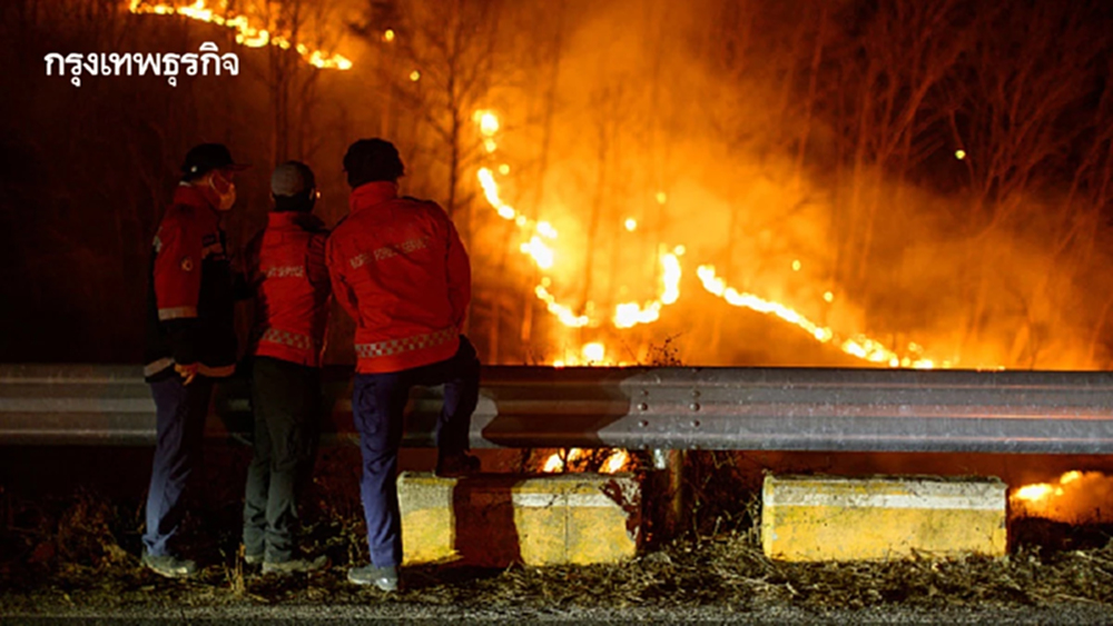 ปฏิวัติการสู้ไฟป่าด้วย 'เศรษฐกิจเชิงรุก' ชี้ลงทุนป้องกัน 1 บาท ลดความสูญเสียได้ 4 บาท