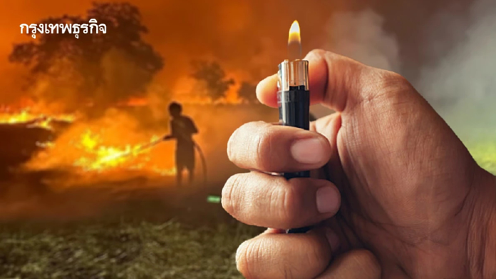 งานวิจัยเผย 10 เหตุผล เกษตรกรนครนายกยัง 'เผานา' ท้าทายนโยบายแก้ PM2.5