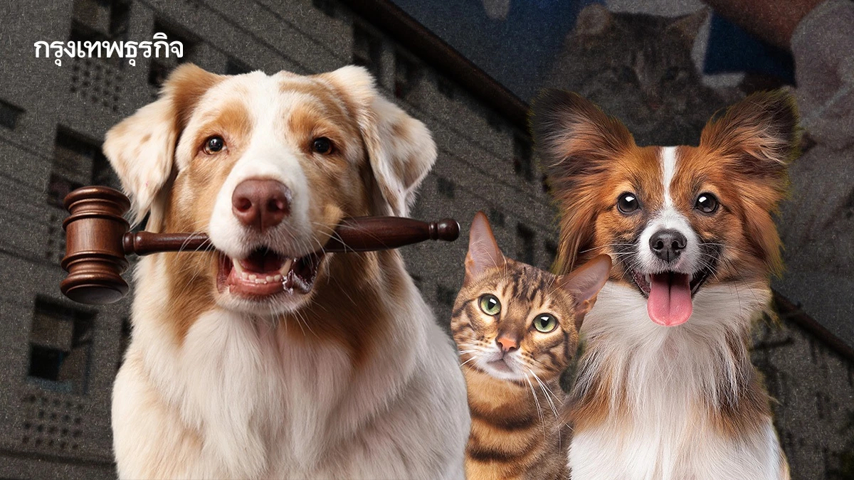 กทม. เลื่อนกฎหมายสัตว์เลี้ยง อีก 1 ปี แก้ปมฝังชิป-คนเช่าที่พัก