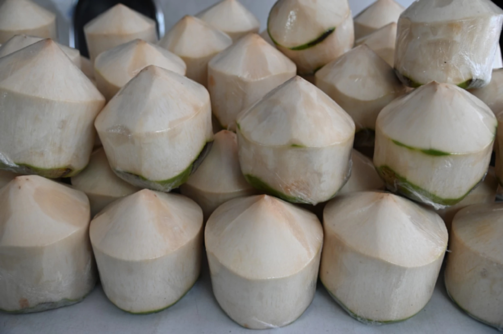 พาณิชย์ เร่งดูดซับมะพร้าวน้ำหอม กระจาย 2 แสนลูก ดันราคาฟื้น