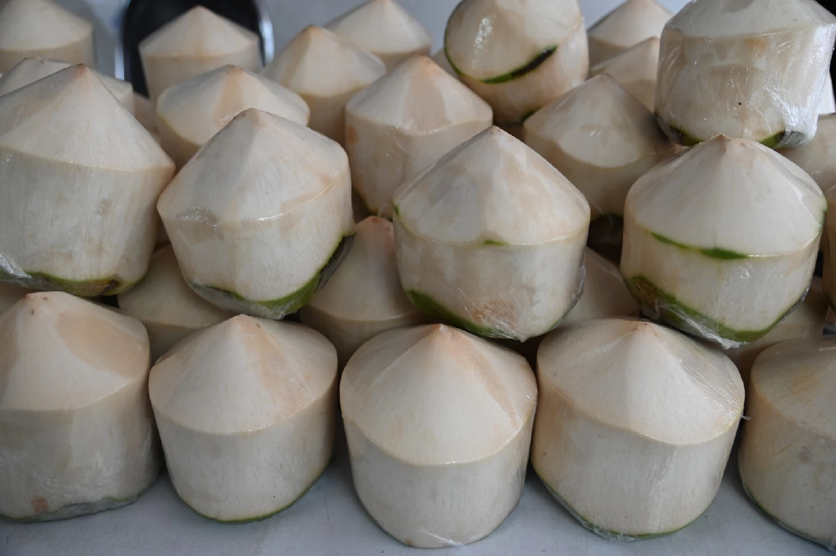 พาณิชย์ เร่งดูดซับมะพร้าวน้ำหอม กระจาย 2 แสนลูก ดันราคาฟื้น