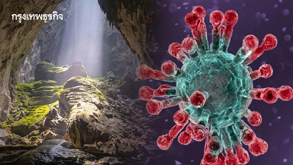 กรมอุทยานฯ สั่งคุมเข้มเที่ยวถ้ำทั่วประเทศ สกัด 'ไวรัสนิปาห์'