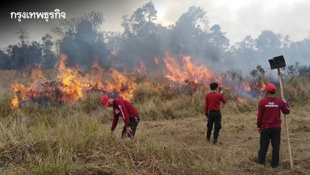 เปิดโทษลักลอบเผา ทั้งเผาในบ้าน เผาข้างทาง พื้นที่เกษตร ป่าสงวน