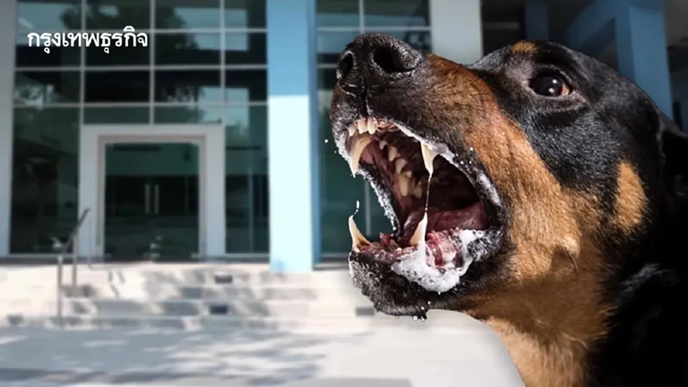 ประกาศเตือน เฝ้าระวัง พบสัตว์ป่วย โรคพิษสุนัขบ้า ลาดกระบัง กทม.