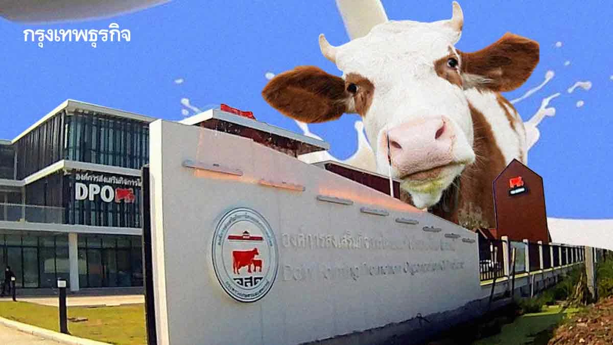 เปิดสาเหตุเกษตรกรเททิ้ง‘น้ำนมดิบ’40 ตัน  อสค.ขาดสภาพคล่องไม่มีเงินซื้อ‘กล่องนม’