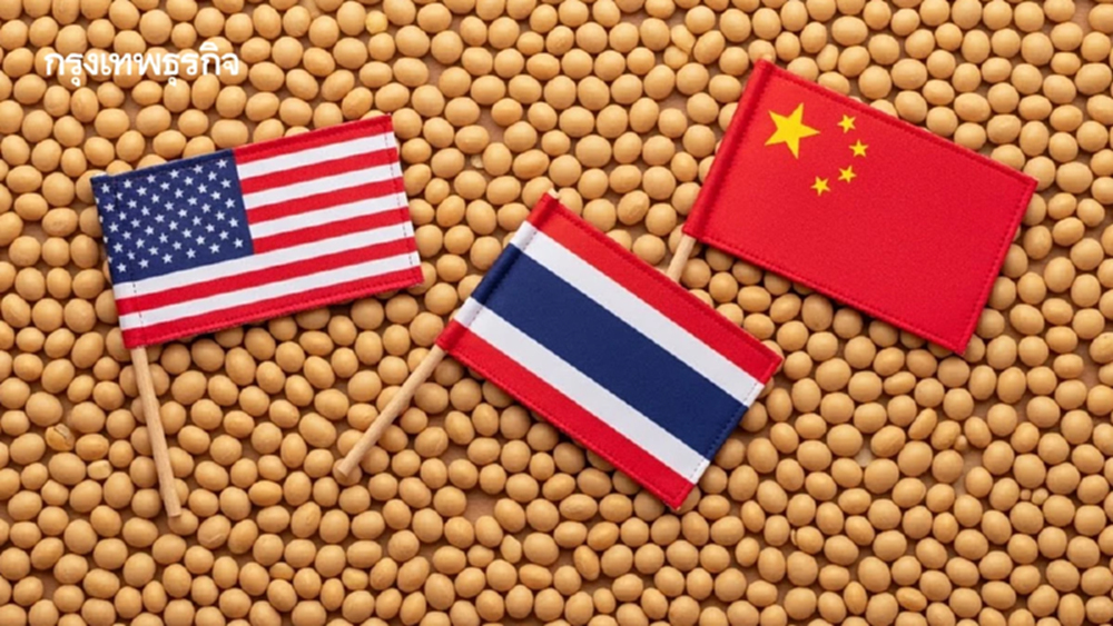 สหรัฐล็อกเป้าไทยส่งออกถั่วเหลือง  แทนตลาดจีนสะดุดปมภาษีทรัมป์