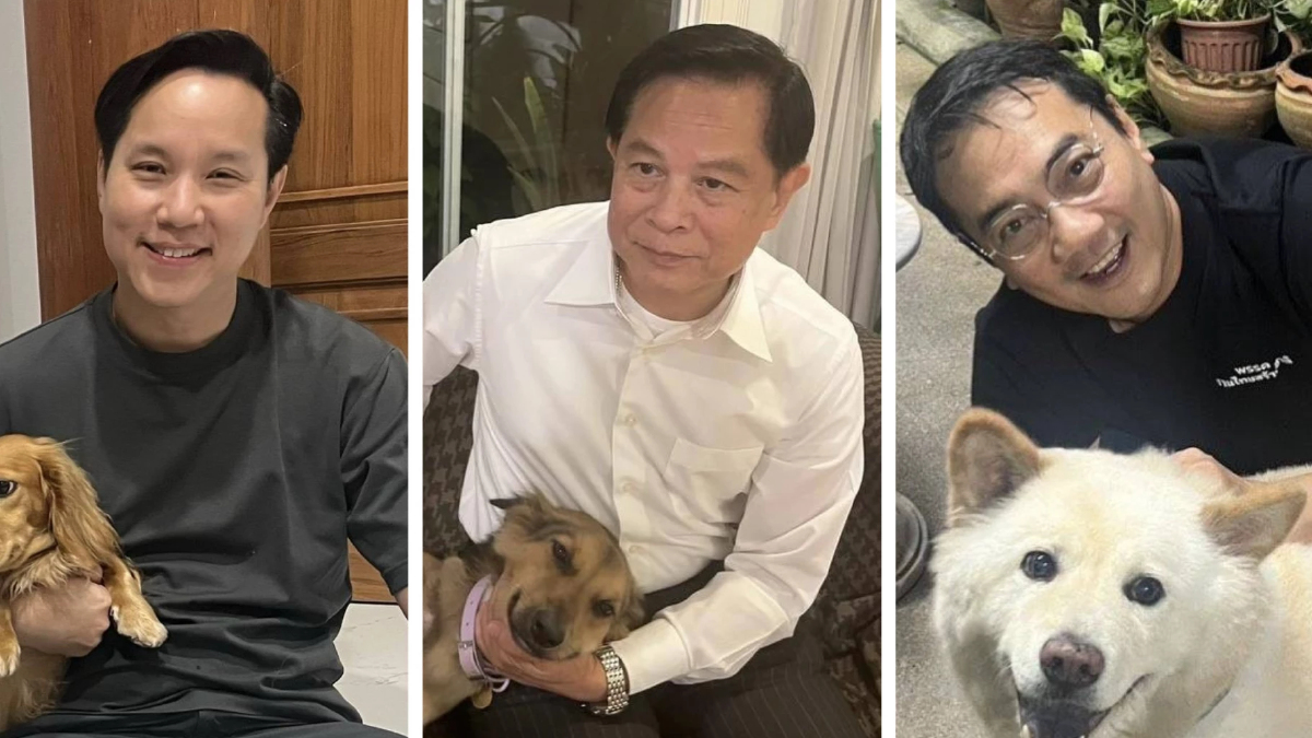 ‘รทสช.’ ชูนโยบายเอาใจทาสหมา-แมว 1จังหวัด1รพ.สัตว์ ลดค่ารักษา50%