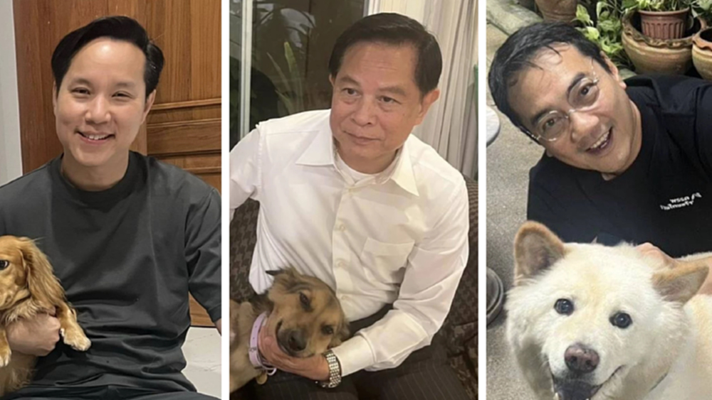 ‘รทสช.’ ชูนโยบายเอาใจทาสหมา-แมว 1จังหวัด1รพ.สัตว์ ลดค่ารักษา50%