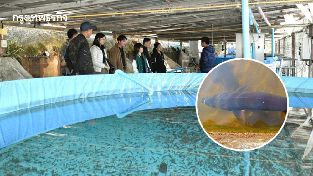 มกอช. รุกทำมาตรฐาน GAP ฟาร์มเพาะเลี้ยงสัตว์น้ำ พื้นที่สูง