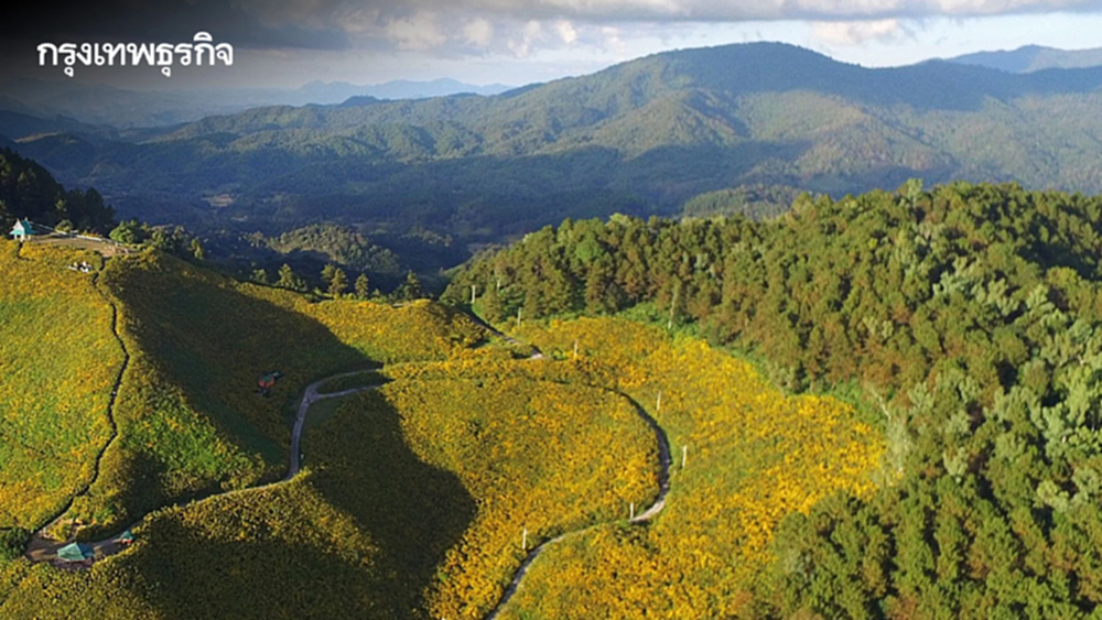 ทส. ลุยเพิ่มพื้นที่สีเขียวทั่วไทย ขับเคลื่อนยุทธศาสตร์ชาติสู่เป้าหมายป่าไม้ยั่งยืน