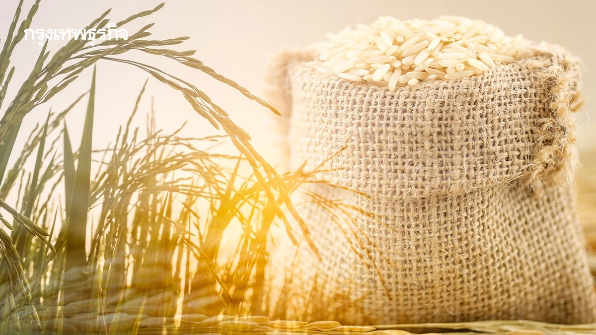 ครม. เคาะปรับเงินชะลอขายข้าว-ยืดชดเชยดอกเบี้ยสต็อกปี 68/69