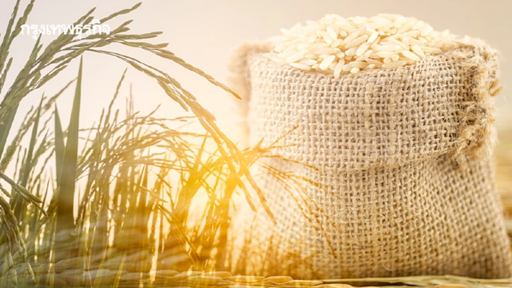 ครม. เคาะปรับเงินชะลอขายข้าว-ยืดชดเชยดอกเบี้ยสต็อกปี 68/69