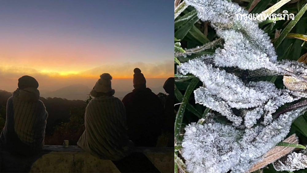 หนาวจนตัวสั่น! ดอยอินทนนท์-กิ่วแม่ปาน แตะ 0 องศาฯ ครั้งแรกของปี 69