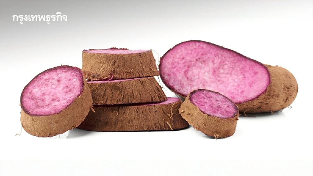 อูเบ หัวมันสีม่วงที่กำลังก้าวขึ้นเป็น Matcha แห่งยุคสมัยใหม่