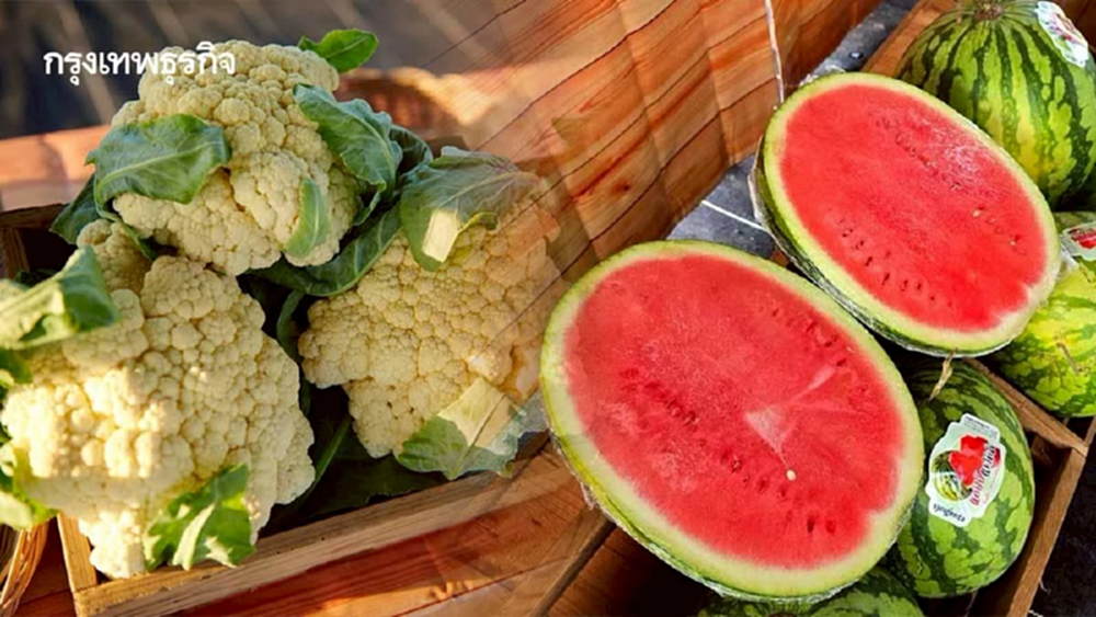 ซินเจนทา แลกเปลี่ยนการผลิตพืชผัก ภายใต้ความรุนแรงของสภาพอากาศร้อน