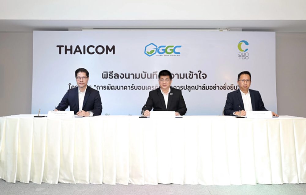 GGC - THAICOM และ TGO ลงนามฯ พัฒนาคาร์บอนเครดิตจากการปลูกปาล์มอย่างยั่งยืน