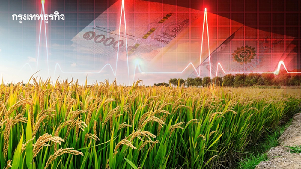 บาดแผลการคลัง ‘อุดหนุนเกษตร’ 8 แสนล้าน  รัฐผวา! ปิดช่อง ‘แจกเงินแบบให้เปล่า’