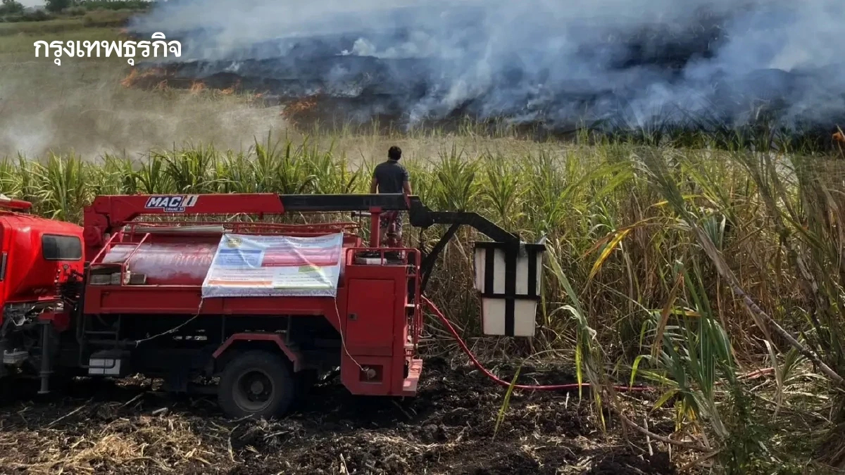 โทษหนัก! คพ. สั่งจับจริง เผาที่โล่ง-พื้นที่เกษตร คุก 7 ปี ปรับแสนสี่