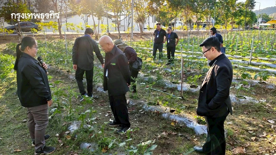 สศก. อัปสกิลเกษตรอาสา เสริมทักษะดิจิทัล เป้าแก้ปัญหาราคาสินค้าเกษตร