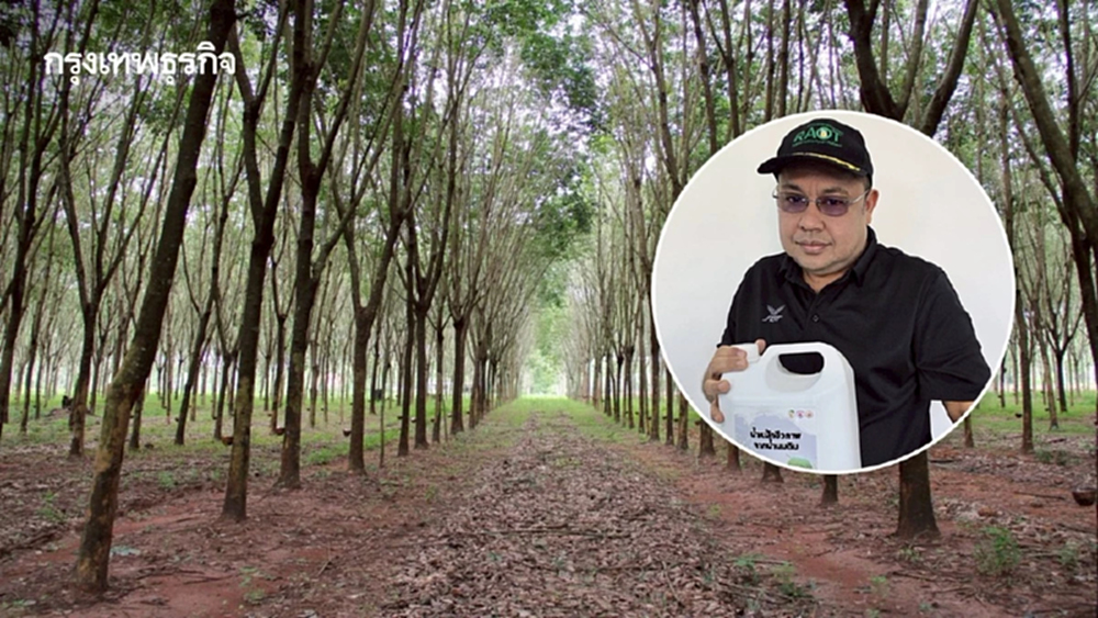 กยท. รับซื้อน้ำนมดิบ ทำน้ำหมักชีวภาพคุณภาพ แจกชาวสวนยาง