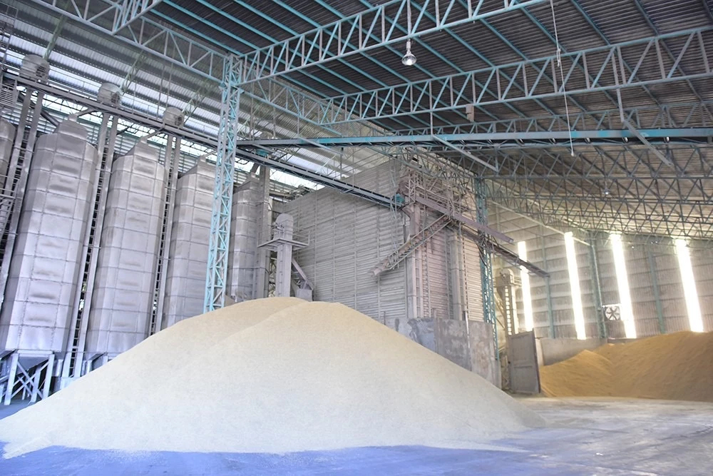 'พาณิชย์' เผย ไทยส่งออกข้าว ปี 68 ทะลุเป้า พุ่ง 7.9 ล้านตัน