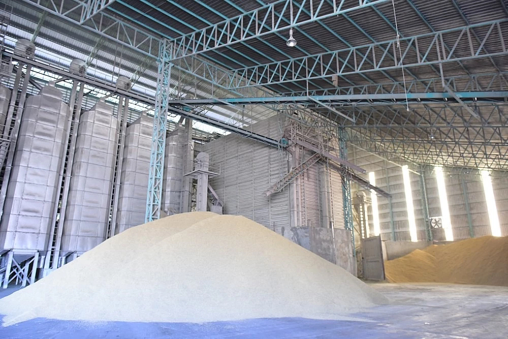 'พาณิชย์' เผย ไทยส่งออกข้าว ปี 68 ทะลุเป้า พุ่ง 7.9 ล้านตัน