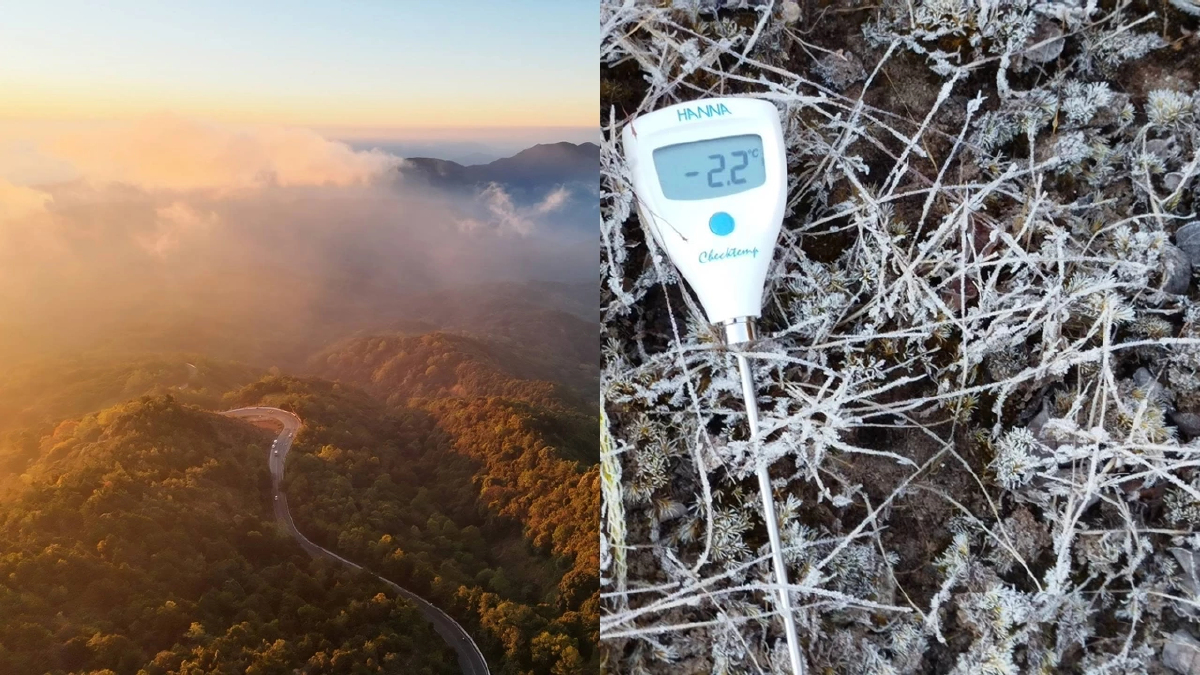 ดอยอินทนนท์พบเหมยขาบต่อเนื่อง อุณหภูมิต่ำสุด 2 องศา ความงามฤดูหนาว