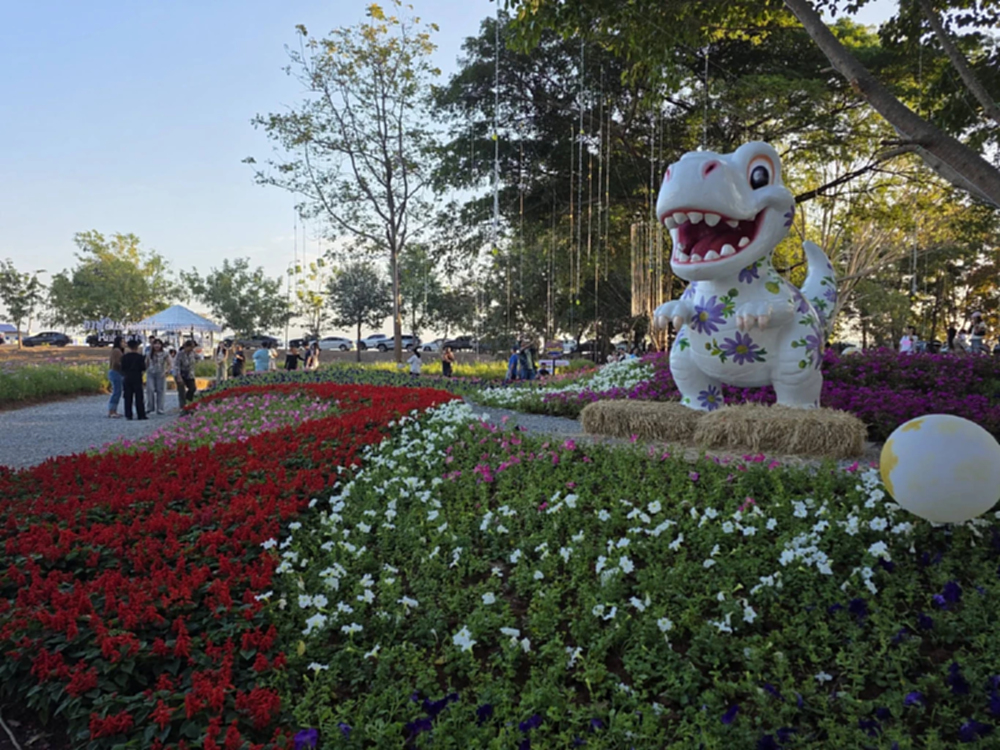 กาฬสินธุ์ดอกไม้บานกลางแสงไฟ จัดยาวถึง 9 ม.ค. 69 ชมฟรีตลอดงาน