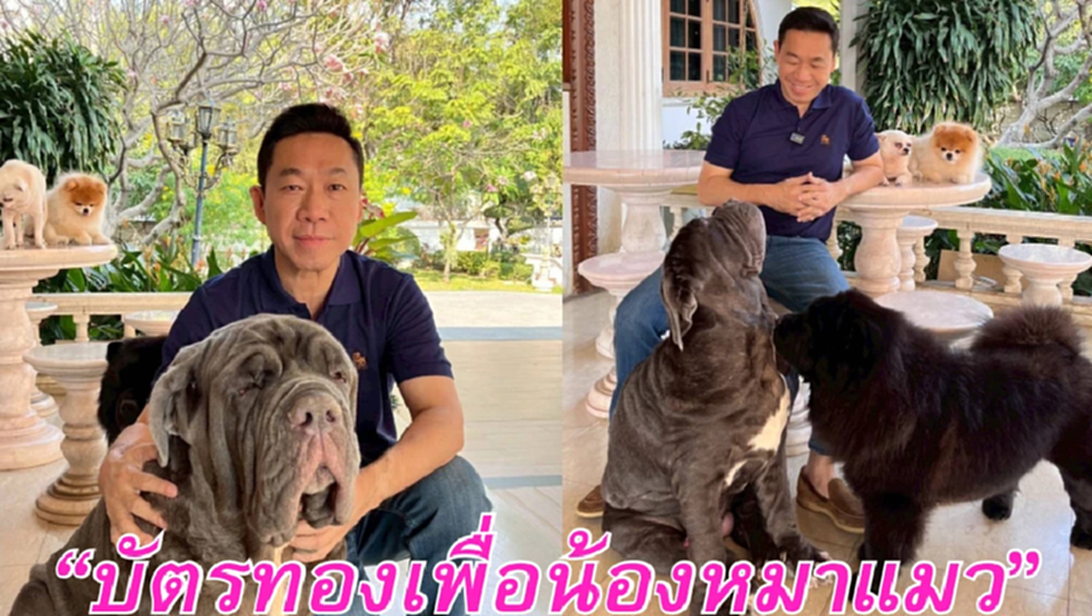 'พรรคปวงชนไทย' ผุดนโยบายบัตรทองหมา-แมว คลีนิคสัตว์ชุมชน