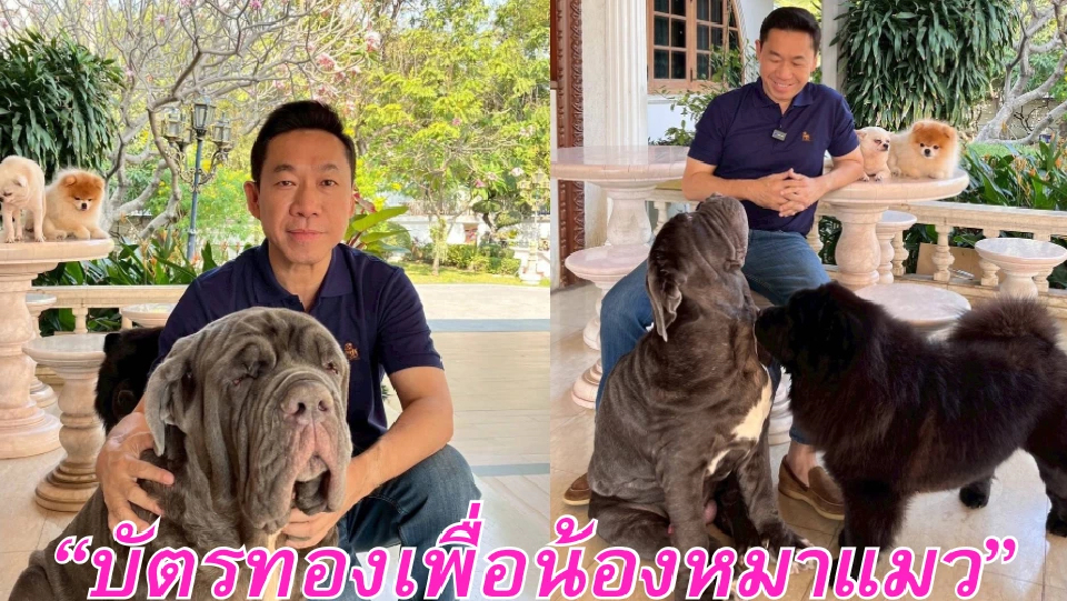 'พรรคปวงชนไทย' ผุดนโยบายบัตรทองหมา-แมว คลีนิคสัตว์ชุมชน